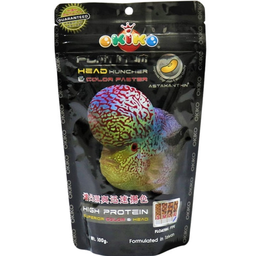 Okiko flowerhorn cichlid - okiko,