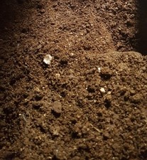 Fresh chicken manure 100% Pure fertiliser. Very Beneficial For Garden - 5kg 