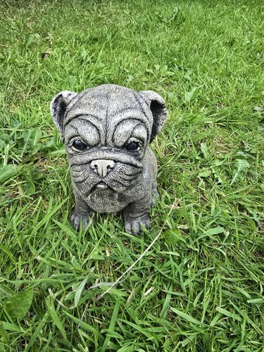 Sitting bulldog puppy stone - sitting,