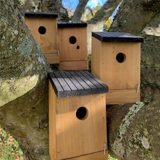 Wooden Birdhouse Box Nesters
