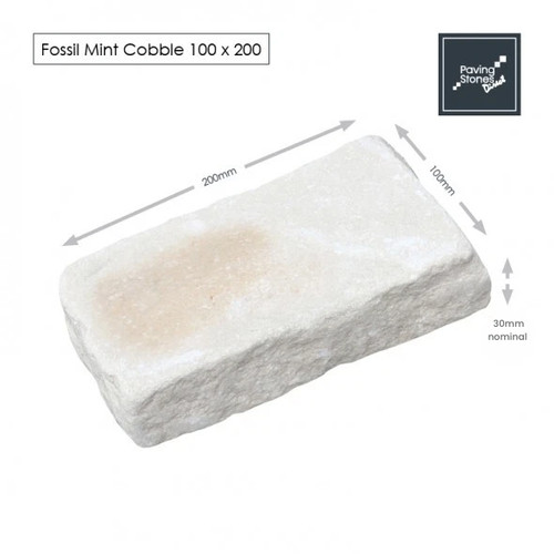 Fossil mint cobbles - fossil, 200x100