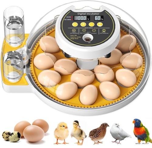 Egg incubator for - egg,