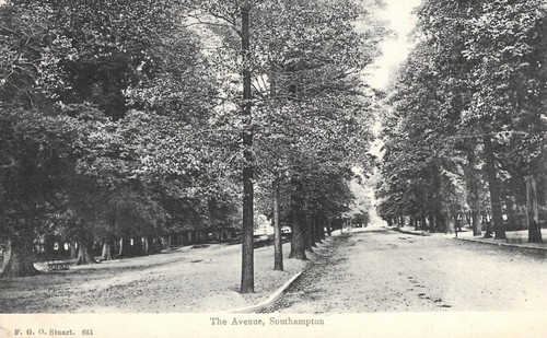 Southampton the avenue - avenue,