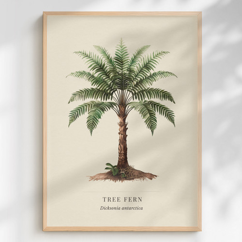 Tree fern print dicksonia - tree,