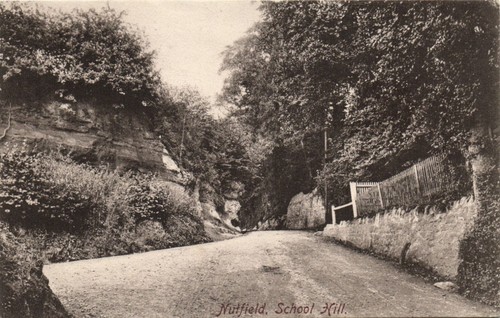 School hill nutfield surrey - school,