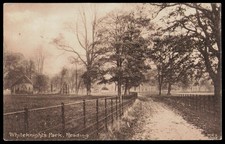 Vintage Whiteknight's Park Reading England Sepia Scenic Postcard