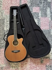 Tanglewood TW9 WinterLeaf Electro-Acoustic Guitar (with Hard Case)