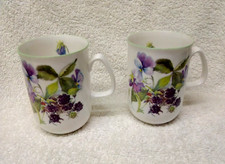 ROSE OF ENGLAND ANN ANDERSON