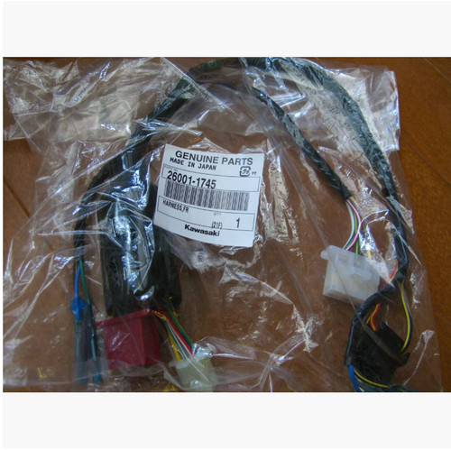 Kawasaki gpz900r genuine - genuine, front