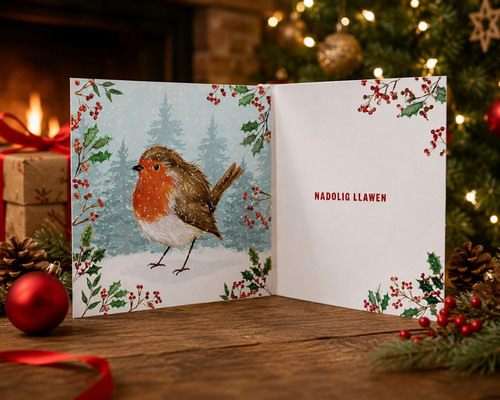 Barnardo welsh robin - welsh,