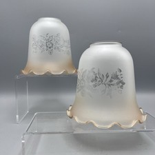 Glass Light Lamp Shade X2