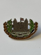 The Enniskillen Horse Badge.
