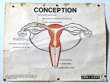 RARE VINTAGE COW & GATE