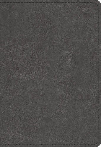 Esv student study bible - student, by