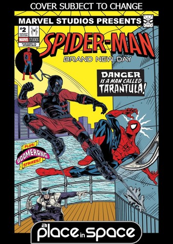 Punisher spider man 2d - punisher, spider-man