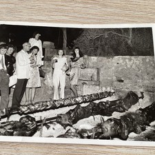 Original Son Amar Spain Photograph - 1970’s - Barbecue Suckling Pigs On Spit -