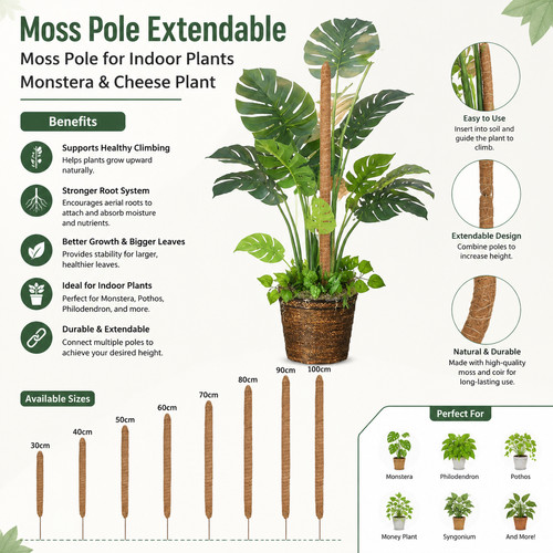 Moss pole extendable - extendable,