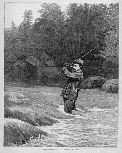 Salmon fishing canada - salmon, in