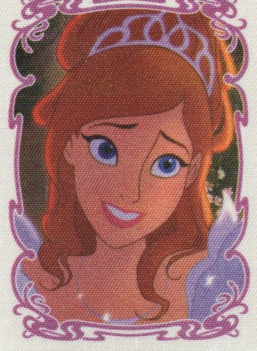 Disney panini enchanted - ,