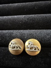 Royal Berkshire Regiment Officers Bi Metal Button by Pitt & Co GN