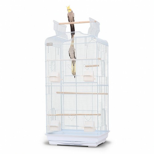 Bird cage with pull - bird, pull-out