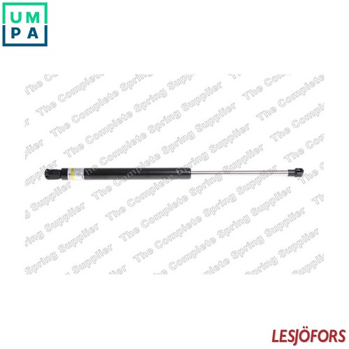 Gas spring bootcargo area - gas,