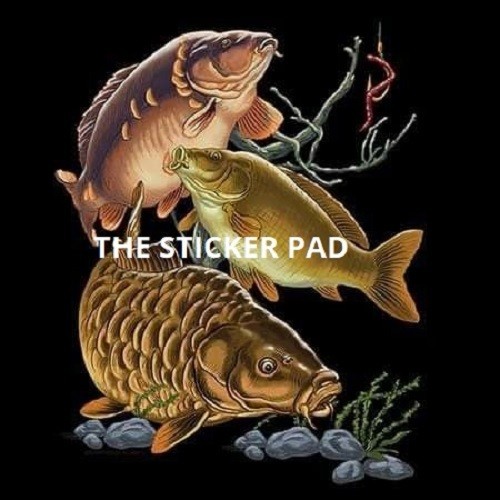 Vinyl sticker carp coarse - vinyl,