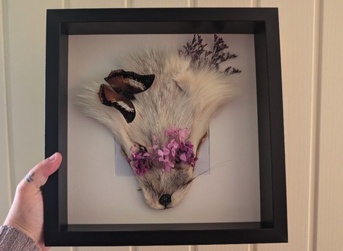 Framed fox mask skulls - mask,,