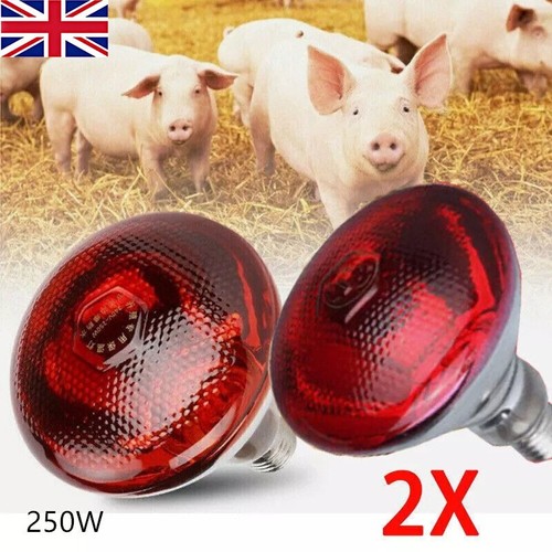 2pcs infra red heat - 2pcs, bulb
