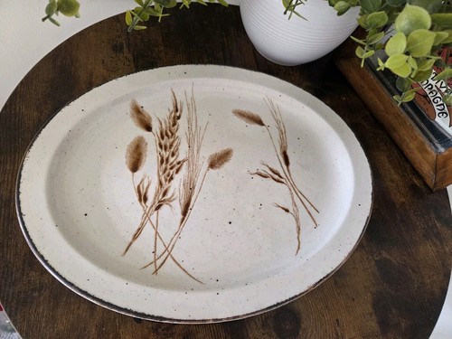 Midwinter stonehenge wild oats - stonehenge,