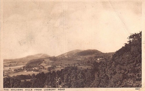 Family history postcard - postcard,