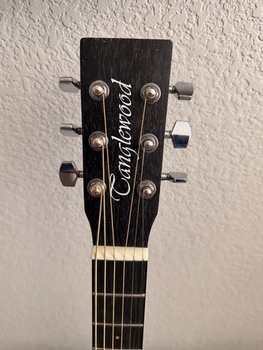 Tanglewood blackbird orchestra - blackbird,