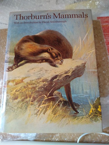 Thorburn mammals hardback - mammals,