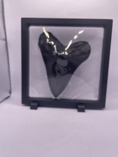 Mounted Replica Black