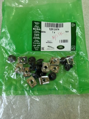 Jaguar type t2r12474 - t2r12474,