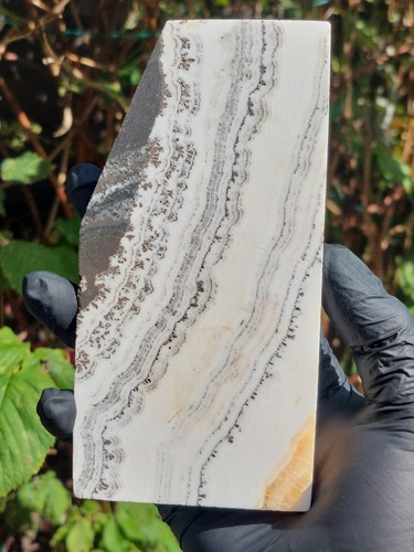 Dendritic honey calcite - honey, slab