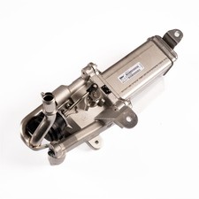 Genuine Renault EGR Valve