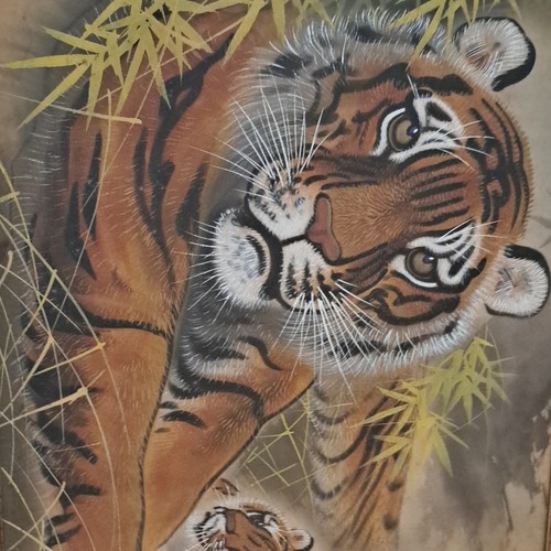 Tiger big cat - tiger, silk