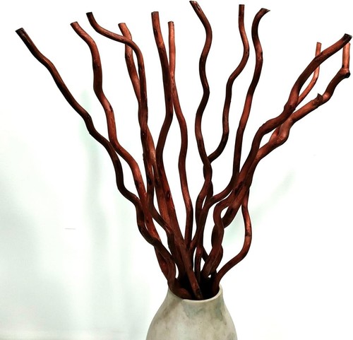 Pcs dried curly - pcs, willow