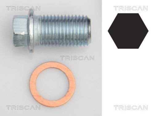 Oil sump sealing - oil, triscan