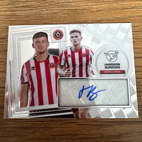 Panini harrison burrows - panini,