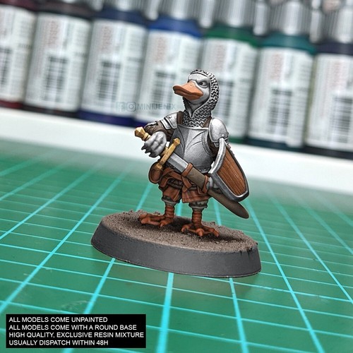 Duck knight fantasy druid - duck, fantasy: