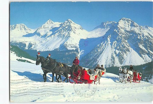 Postcard horse drawn sleigh - horse-drawn,