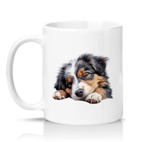 Sleeping australian shepherd - sleeping,