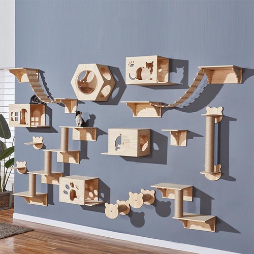 Cat wall furniture - cat, climbing
