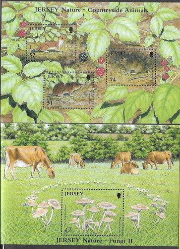 Jersey nature cows fungi - nature,