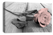 Framed Floral Rose Wall Art