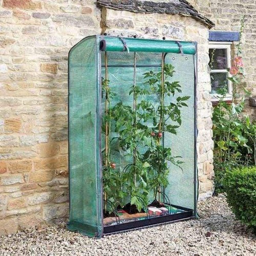 Smart garden tomato - tomato, gro-zone