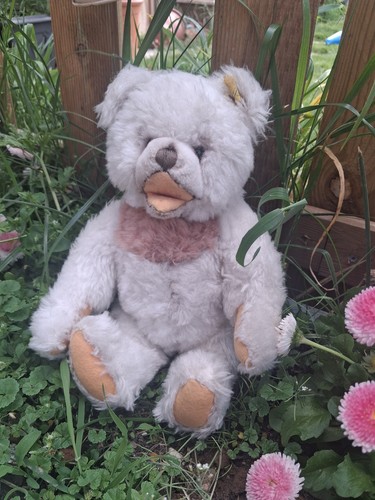 Steiff rare white zotty - steiff, bear