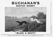 BUCHANAN'S SCOTCH WHISKY Black